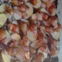 فروش حلزون|خزنده|پردیس, فاز ۱۱|دیوار