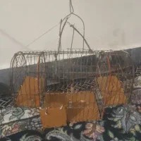 تله سهره
