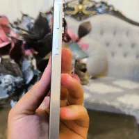 سامسونگ Galaxy A55 با حافظهٔ ۲۵۶ گیگابایت|موبایل|ماکو, |دیوار