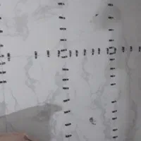 نیازمند کارگر ساده