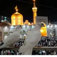 کاروان زیارتی مشهد مقدس در تاریخ 25مرداد