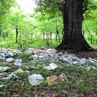 کمپین جمع آوری زباله تجزیه ناپذیر در طبیعت