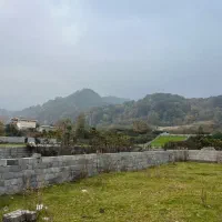 فروش فوری زمین ویو جنگل خیابان شعبانی|فروش زمین و ملک کلنگی|کلارآباد, |دیوار