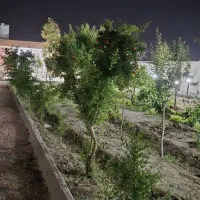 باغ580متری|فروش خانه و ویلا|اصفهان, قهجاورستان|دیوار
