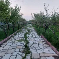 فروش-دو-قطعه-باغ-ویلایی-در-حصار-ترکمان