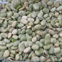 باقالی محلی پاک شده برای باقالی پلو و خورشتی