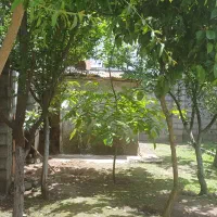 فروش خونه ویلایی ۲۶۵ متر در رشت