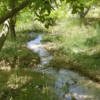 گاوبندی وپلواربندی مشغول بکاردر فلارد کلواری|فروش دفتر صنعتی، کشاورزی، تجاری|لردگان, |دیوار