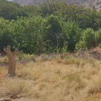 فروش زمین ۲۰۰ متری ششصدوپنجاه میلیون تومان