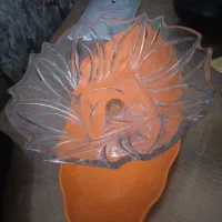 ظروف پذیرایی