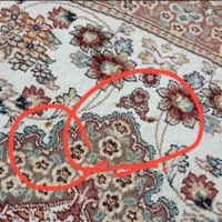 3تا فرش ۲۰میلیون|فرش|اقبالیه, |دیوار