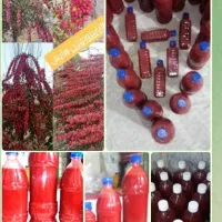 آب زرشک طبیعی. خالص.