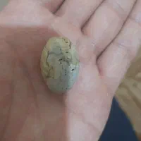 مهره گبر