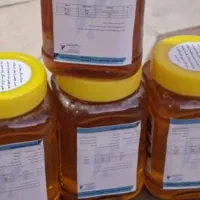 عسل طبیعی کنار