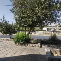 مغازه-فلکه-فرودگاه