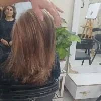 نیازمند مدل مش مو|خدمات آرایشگری و زیبایی|شیراز, جانبازان|دیوار