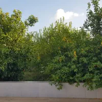 بازاریابی و فروش