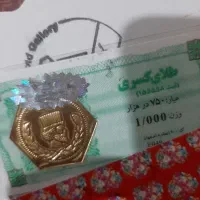 سکه پارسیان یک گرمی