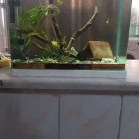 آکواریوم شیشه خم باتمام وسایل