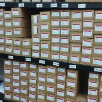 پخش عمده و تک لنت ماشین های چینی