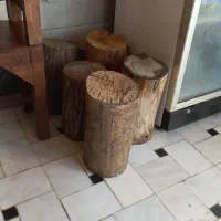 کنده چوبی تنه درخت نشیمن یا زیر گلدان