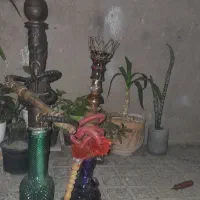 قلیان دوسیب و هندوانه