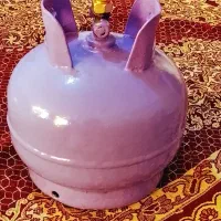 پیک نیک بزرگ۳کیلویی درحدنوپراز گاز|اجاق گاز و لوازم برقی پختوپز|کرمان, |دیوار