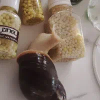 حلزون وخاویار حلزون