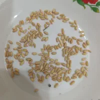 گندم دیم درجه یک