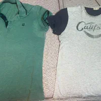 تیشرت مردانه|لباس|گنبد کاووس, |دیوار