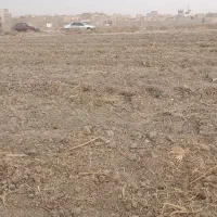 زمین بلوارتوس .زمین زعفران.|فروش زمین و ملک کلنگی|مشهد, شهید بصیر|دیوار