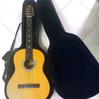 گیتار مدل vc404