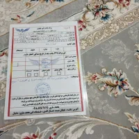 پژو 405مدل 86 تمام رنگ|خودرو سواری و وانت|بانه, |دیوار