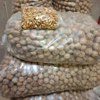 گردو سفیدایرانی