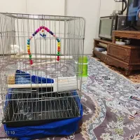 قفس|لوازم جانبی حیوانات|تهران, فلاح|دیوار