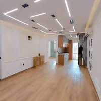 ۵۳متر دیزاین شده/نورگیر خطی/سنگ تک برگ /فاز1اندیشه