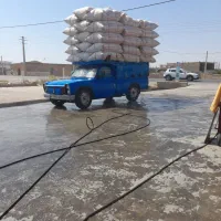کاه گندم