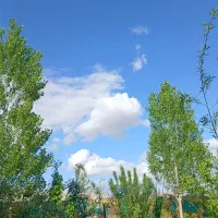 زمین ملکی با قیمت استثنایی|فروش زمین و ملک کلنگی|مشهد, كنويست|دیوار