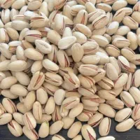 پسته اکبری|خوردنی و آشامیدنی|تهران, راه آهن|دیوار