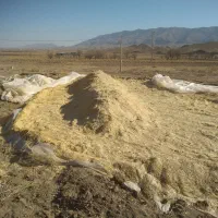 کاه|عمدهفروشی|تربتحیدریه, کلاته توکلی|دیوار