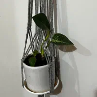 فروش آویز گلدان مکرومه دست بافت|صنایع دستی و سایر لوازم تزئینی|اهواز, پادادشهر|دیوار