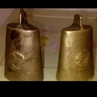 زنگوله شیر خورشید