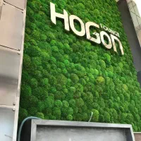 ماسوال - ماس وال - دیوار خزه‌ای - دیوار سبز