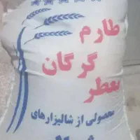 برنج طارم گرگان
