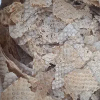 نان خشک