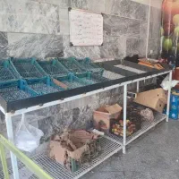 میز میوه فروشی
