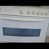 گاز فردار با دو جوجه گردان