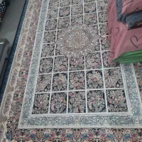 فرش ۶ متری|فرش|رشت, کوی امام رضا|دیوار