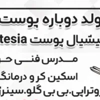 درمانگر تخصصی پوست صورت ومدرس فنی حرفه ای