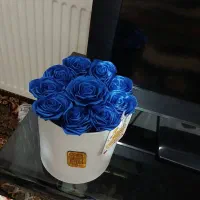 گل زیبا|گل مصنوعی|سبزوار, پاسداران|دیوار